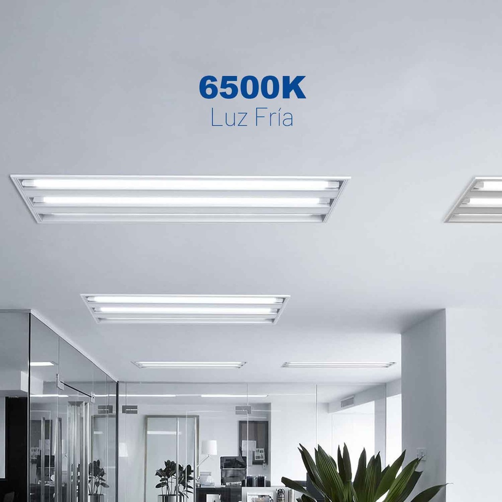 Tubo Led T8 85/265V
