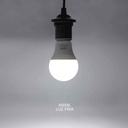 Foco Led A60 110V E27