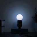 Foco Led G45 110V E27 5W