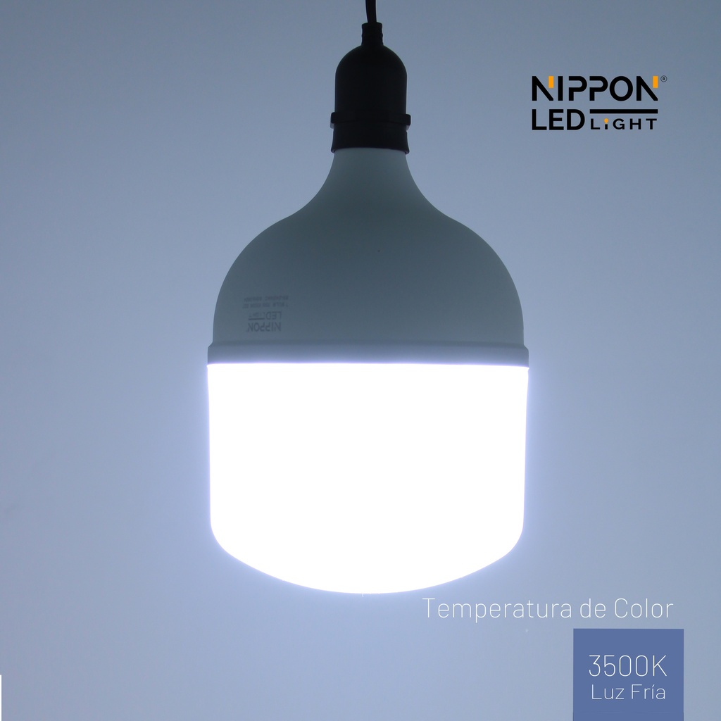 Foco Led Toledo 110V E27 6500K