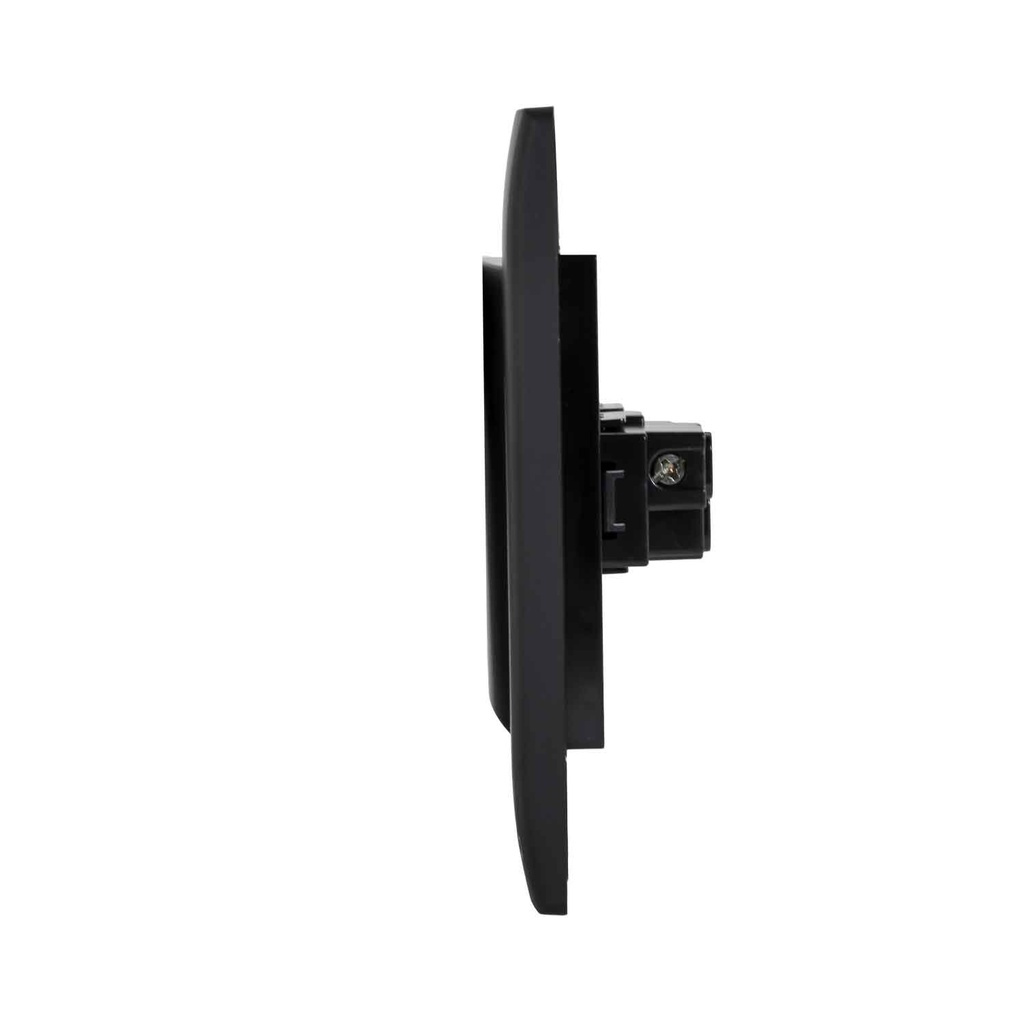 Lyra Interruptor Negro 10A 125V  
