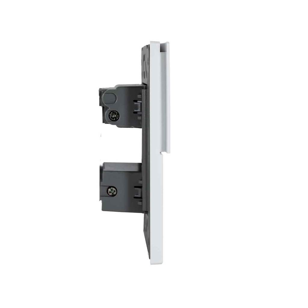 Gemini Interruptor (10A) + Toma (15A )125V 
