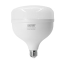 Foco Led Toledo 110V E27 6500K